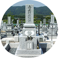 胴張型